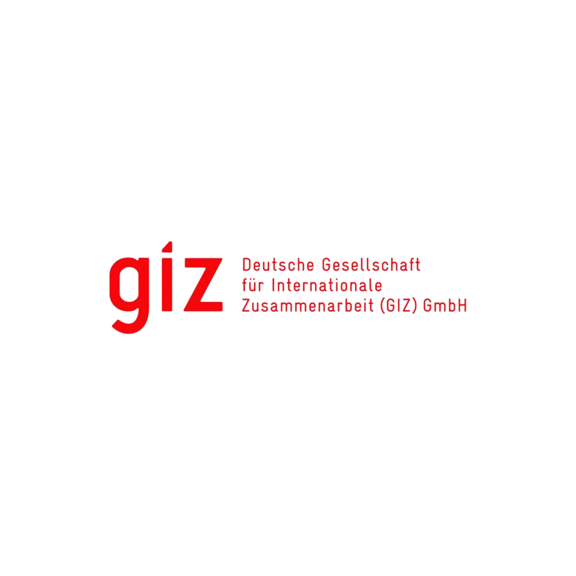 Deutsche Gesellschaft für Internationale Zusammenarbeit (GIZ)