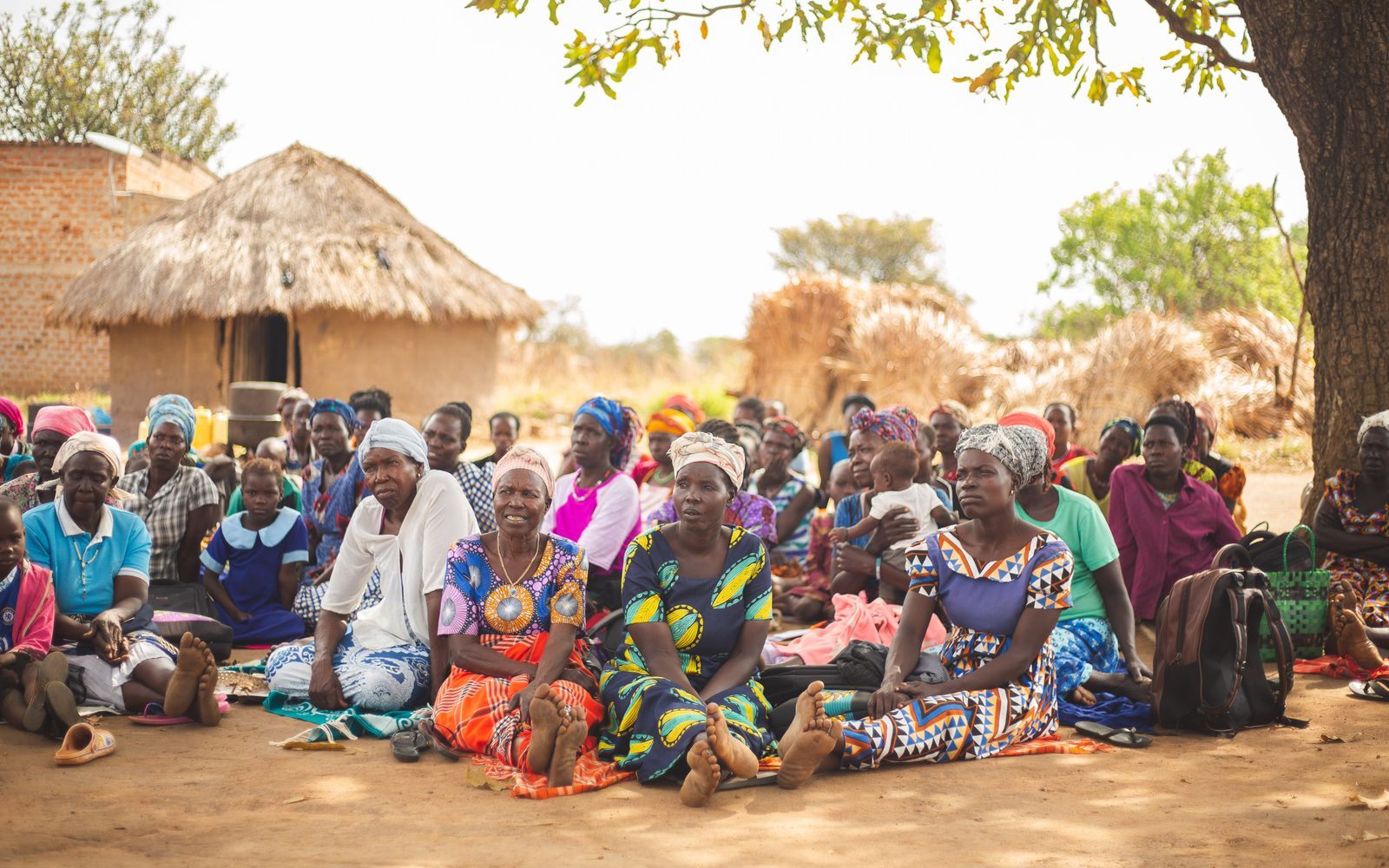 Assemblée villageoise réunie sous un arbre pour un dialogue communautaire