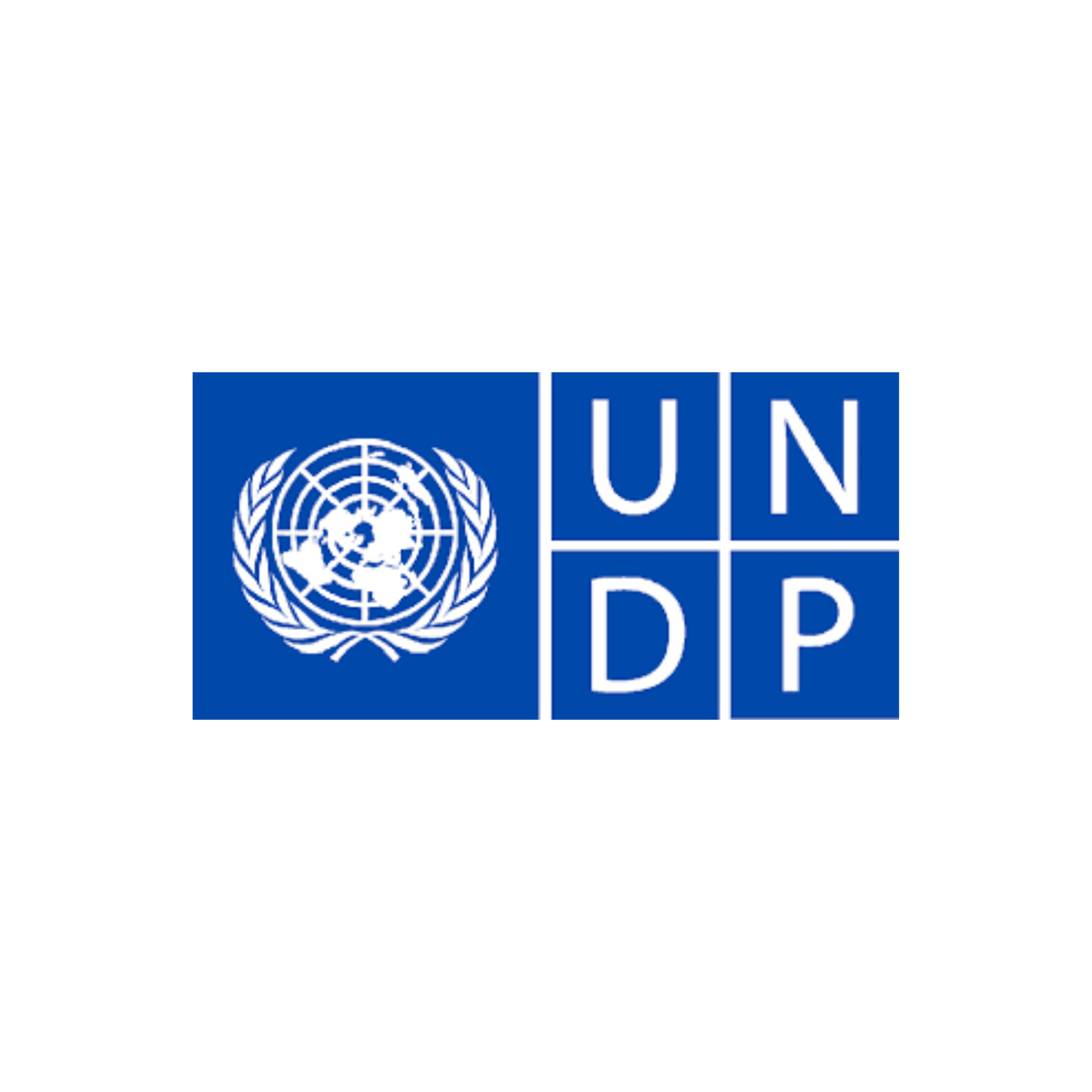 Programme des Nations Unies pour le développement (PNUD)