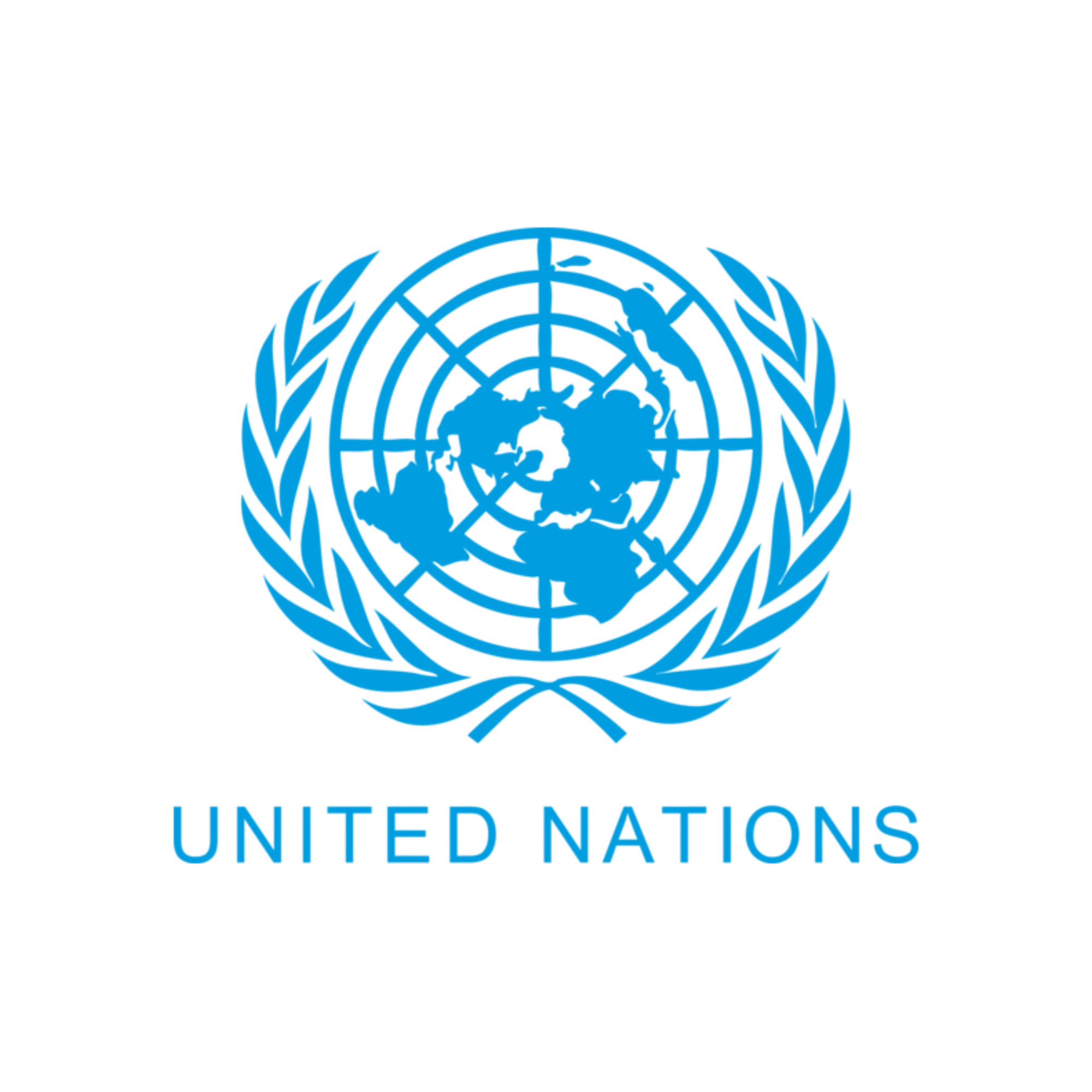 Organisation des Nations Unies
